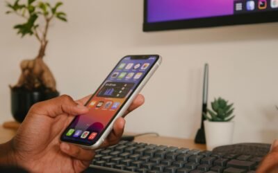 TEXTOS COMUNITÁRIOS UEMOA: directive 06 2006 CM UEMOA